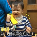 블루독베이비현대 이미지