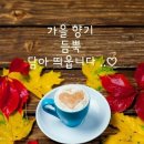 10월 전국축제 정보 이미지