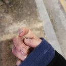 네일브와