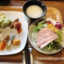 호텔 로이 이미지