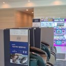 [제주도] 가족끼리 가기좋은 동쪽 리조트 '더포그레이스리조트', 수영장 상세후기