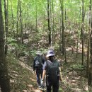 속리산둘레길 순환구간 | [보은/속리산둘레길] 세조의 발자취와 함께 걷는 속리산 둘레길 2구간 말티재 넘는길