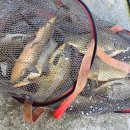 정안 낚시터 이미지