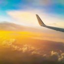 플렉스(FLEX) 이미지