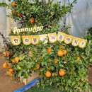 내혜홀농장 이미지