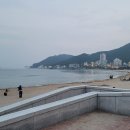 돼지 삼촌 이미지