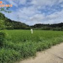 여주-1085 이미지