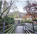 유니스의정원 이미지