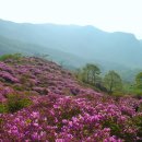 하얏트여관 이미지