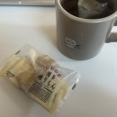 마음애고향 | [도쿄워홀 D+254~277] 느좋,,일상🥳