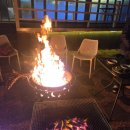 심리 해안가 | [대부도 봄 여행] 깨어나는 바다의 설레임, 세비야풀빌라에서 누리는 따스한 치유의 시간