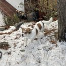 새재로그하우스 이미지