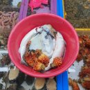 충무활어횟집 이미지