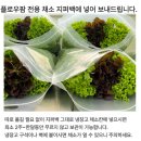 생방송투데이 이주의 장바구니 16종 유럽 잎채소 구매방법 밀양 플로우팜