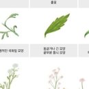 초막골 생태공원 이미지