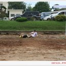 공음중학교 이미지