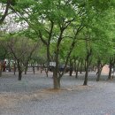 자연속캠핑장 이미지