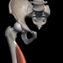 짐워너비 이미지