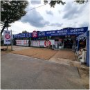 이리꽃도매