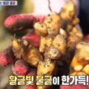 진도삼촌울금 이미지