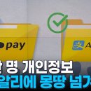 알리에 이미지