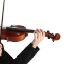 바이올린 이미지