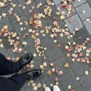 W7. 수성호텔 블레스홀 하객으로 방문 후기 🕊️💐