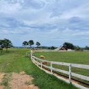 하동목장 이미지