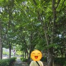 스마트허브커피 | 7일 여행 프롤로그 / 인천공항2터미널 우리은행 환전주머니 공항 환전, 스마트패스, 스카이허브라운지 후기