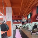 강철복싱 이미지