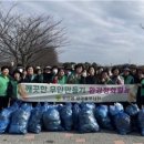 황토클리닉타운 이미지