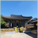 땅끝 남도의 향기 네이버블로그