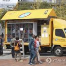 황금마차 연합뉴스