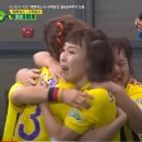 개벤져스