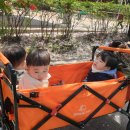 신동아어린이집 이미지