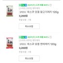 펫더데이 네이버블로그