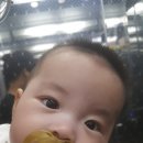 미고기백반 이미지