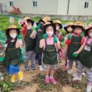 피터팬어린이집 이미지