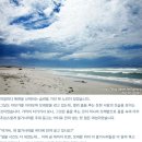 우리 티스토리