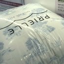 샤인세탁소 이미지