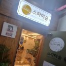 스파더숲 이미지
