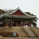 강릉경포물회 이미지