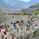 원동역 관광안내소 이미지