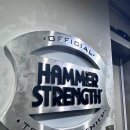 휘트니스링크 | 24시 한대앞 헬스장 휘트니스링크 3호점 일일 pt후기 (+일일권가격)