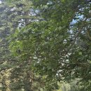 투율하우스 | Day 2 루이지애나 미술관 (2)