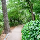 학성공원 화장실 이미지