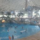 용평한우관 이미지