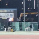 아라파크 이미지