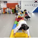 세정태권도 이미지