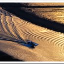 순천만풍경 이미지